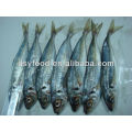 new seafood frozen horse mackerel